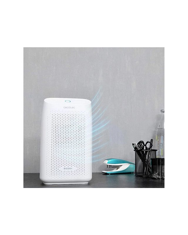 Desumidificador CECOTEC Big Dry 2000 Essential (0.3 L/dia)