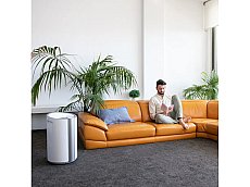 Desumidificador CECOTEC Big Dry 9000 Pro (4.5 L)